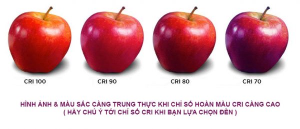 Thang đo chỉ số CRI của đèn LED